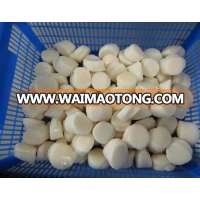 frozen scallop meat without shell