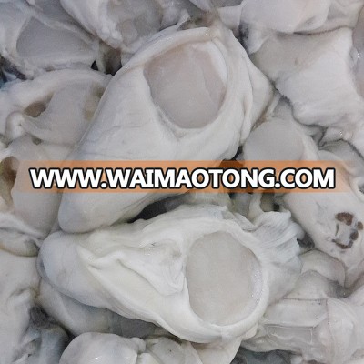 Frozen Oyster Meat Without Shell