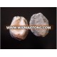 Chile Best Quality Frozen Locos Chilean Abalone