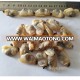 yellow clam meat seafood